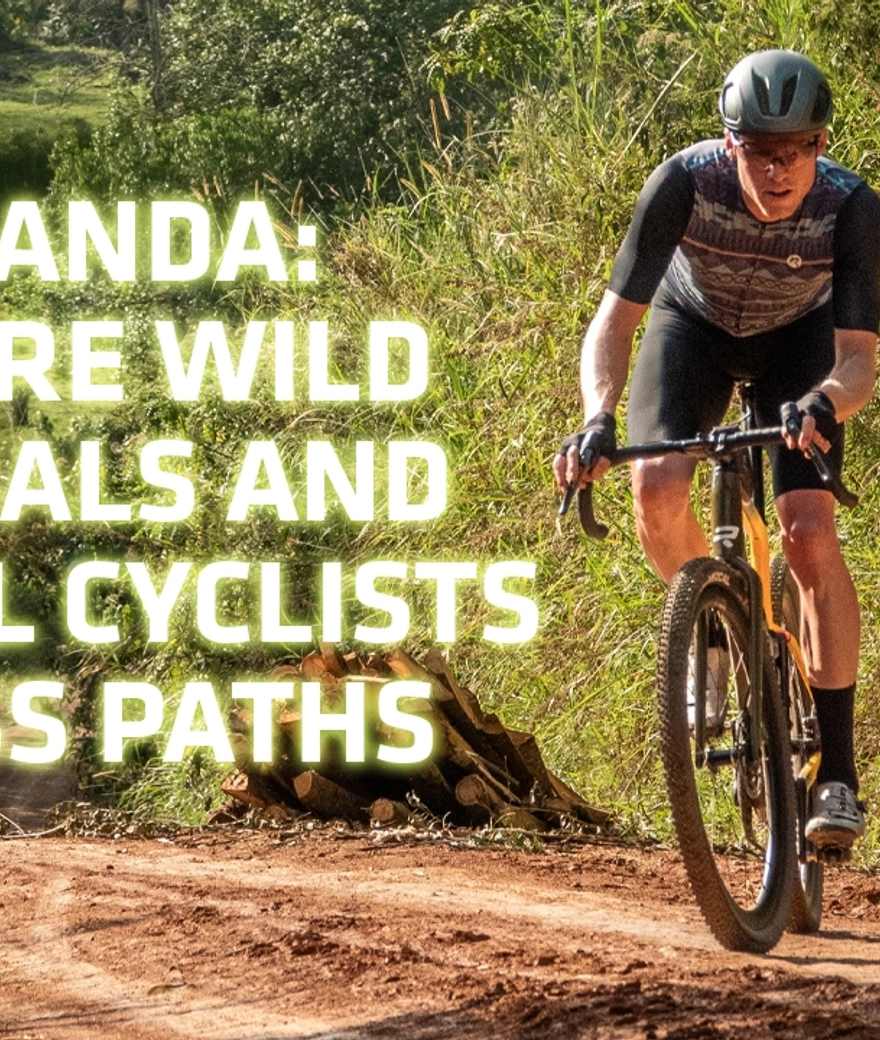 FatPigeon in Uganda: where wild animals meet gravel cyclists