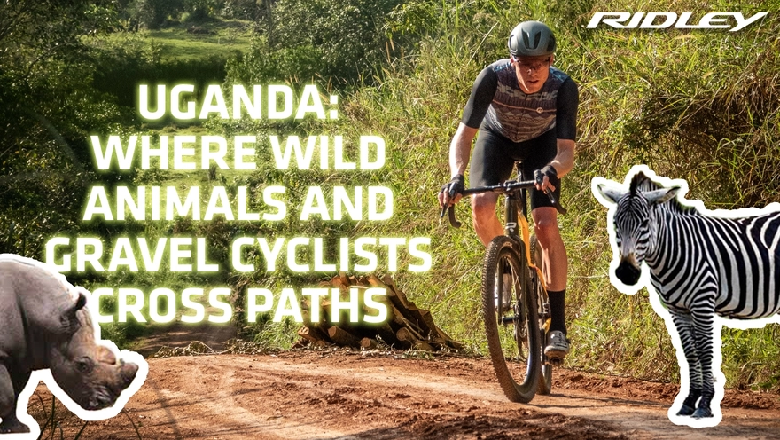 FatPigeon in Uganda: where wild animals meet gravel cyclists