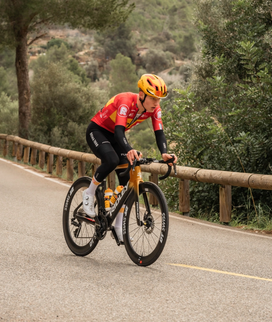 Noah Fast vs. Falcn RS: Which Road Performance Bike Suits You Best?