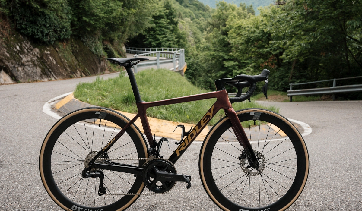 Falcn RS 01 Copyright Ridley 14 edited